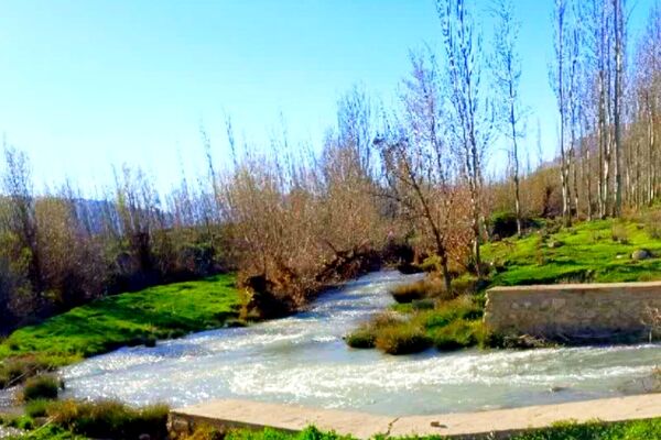 طبیعت دَستَنا؛ جلوه‌ای کم‌نظیر از آرامش و زیبایی در دل چهارمحال و بختیاری