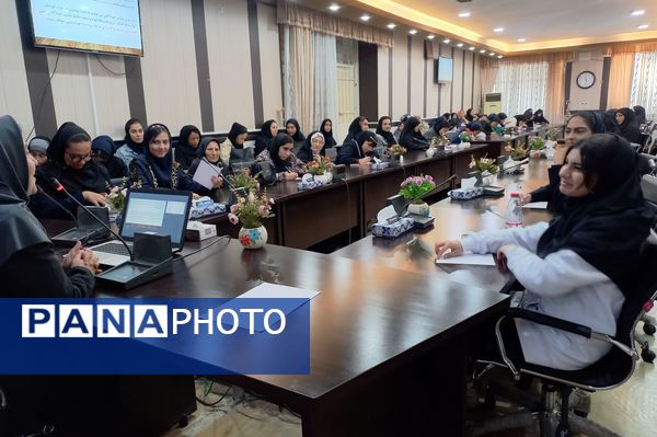 توانمندسازی همیار مشاوران مدارس ناحیه ۳ شیراز