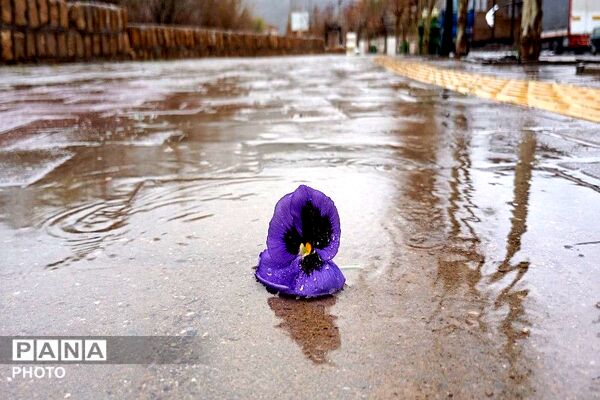 بارش شدید  باران بهاری و اب گرفتگی معابر شهر بار