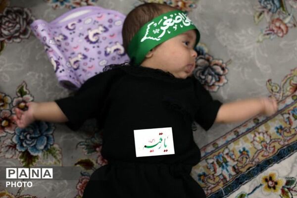 شکوه آیین جهانی شیرخوارگان حسینی در مصلی باقرشهر؛ پخش زنده از رسانه ملی