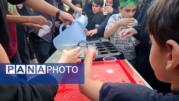 حضور مردم شهرستان نیم‌ور و محلات در پیاده‌روی جاماندگان اربعین