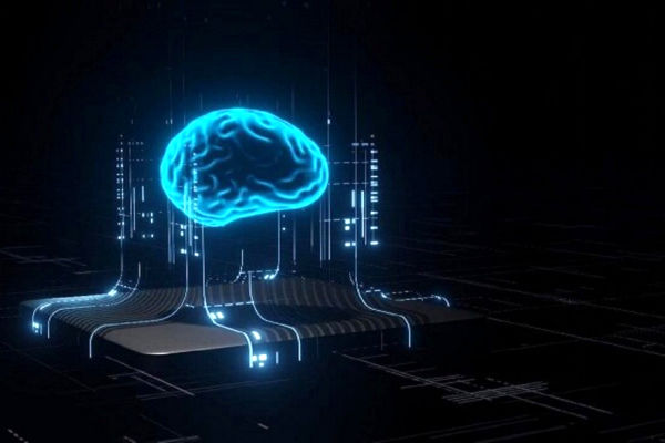 تشکیل شورای توسعه هوش مصنوعی در دانشگاه شیراز