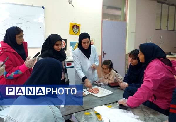 برگزاری کلاس آناتومی و تشریح مغز در پژوهش‌سرای بوعلی سینا ملارد