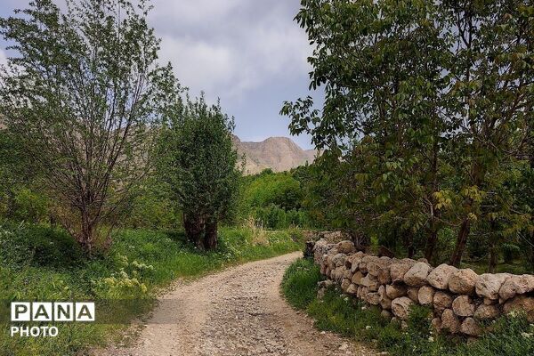 آلبوم تصویری از طبیعت زیبای شهر بار در اردیبهشت‌ماه  ۱۴۰۵ـ۲